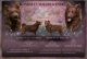 Bonum Et Malum Kennel (HU)