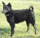 Kunok Kincse Cecil, MET.Mu.3854/09 Kunok Kincse Cecil, MET.Mu.3854/09
