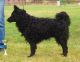 Kunok Kincse Apród, MET.Mu.3363/07 Kunok Kincse Apród, MET.Mu.3363/07